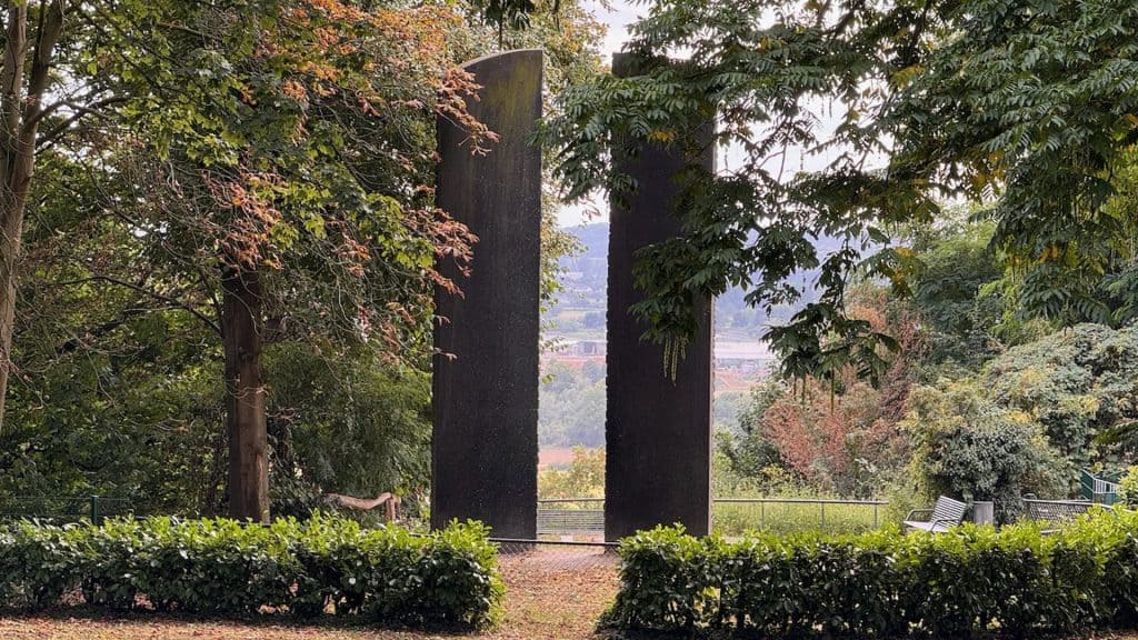 Twee grote, oude bomen met een open landschap op de achtergrond.