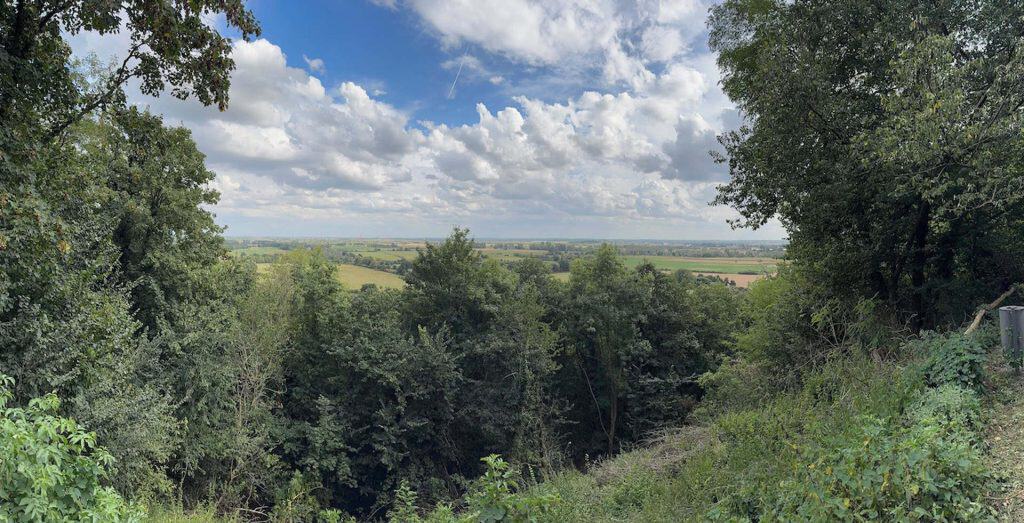 Uitzicht over het landschap van 't Gelders Eiland met bomen en een heldere hemel.