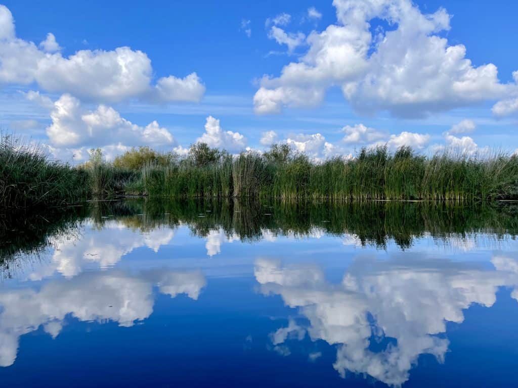 Uitzicht op een rustige rivier met groene rietkragen en een heldere blauwe hemel met wolken.