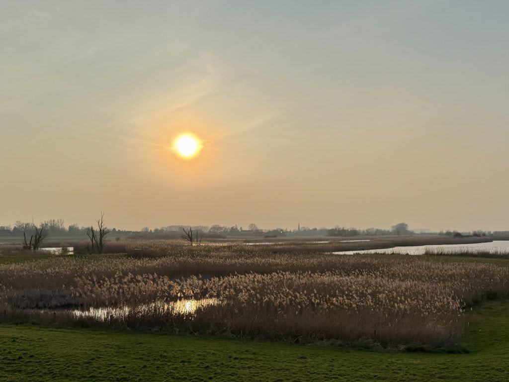 Zonsopgang boven het landschap van 't Gelders Eiland met water en rietvelden.