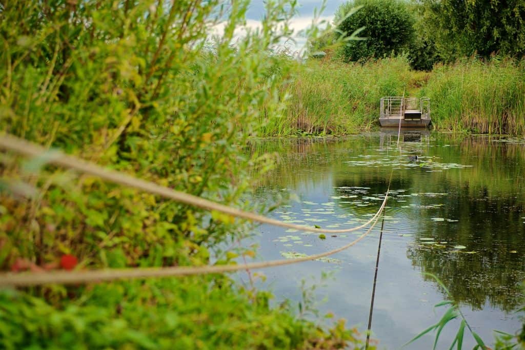 Kleine boot aan de oever van de rivier bij 't Gelders Eiland.