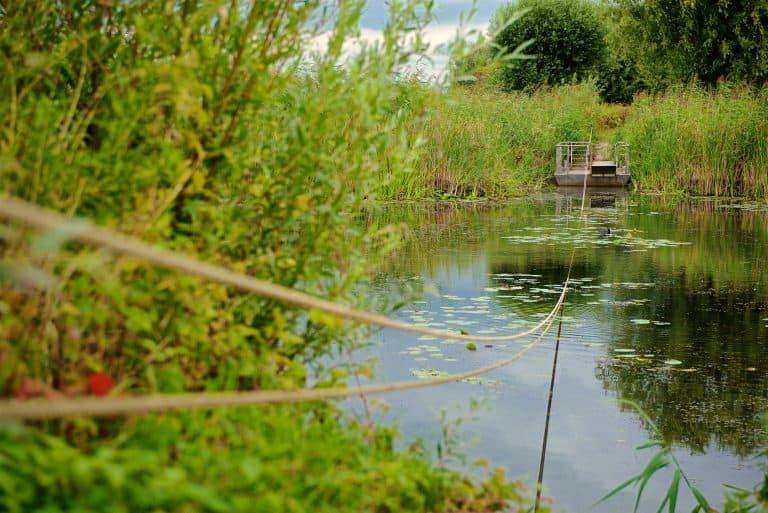 Kleine boot aan de oever van de rivier bij 't Gelders Eiland.