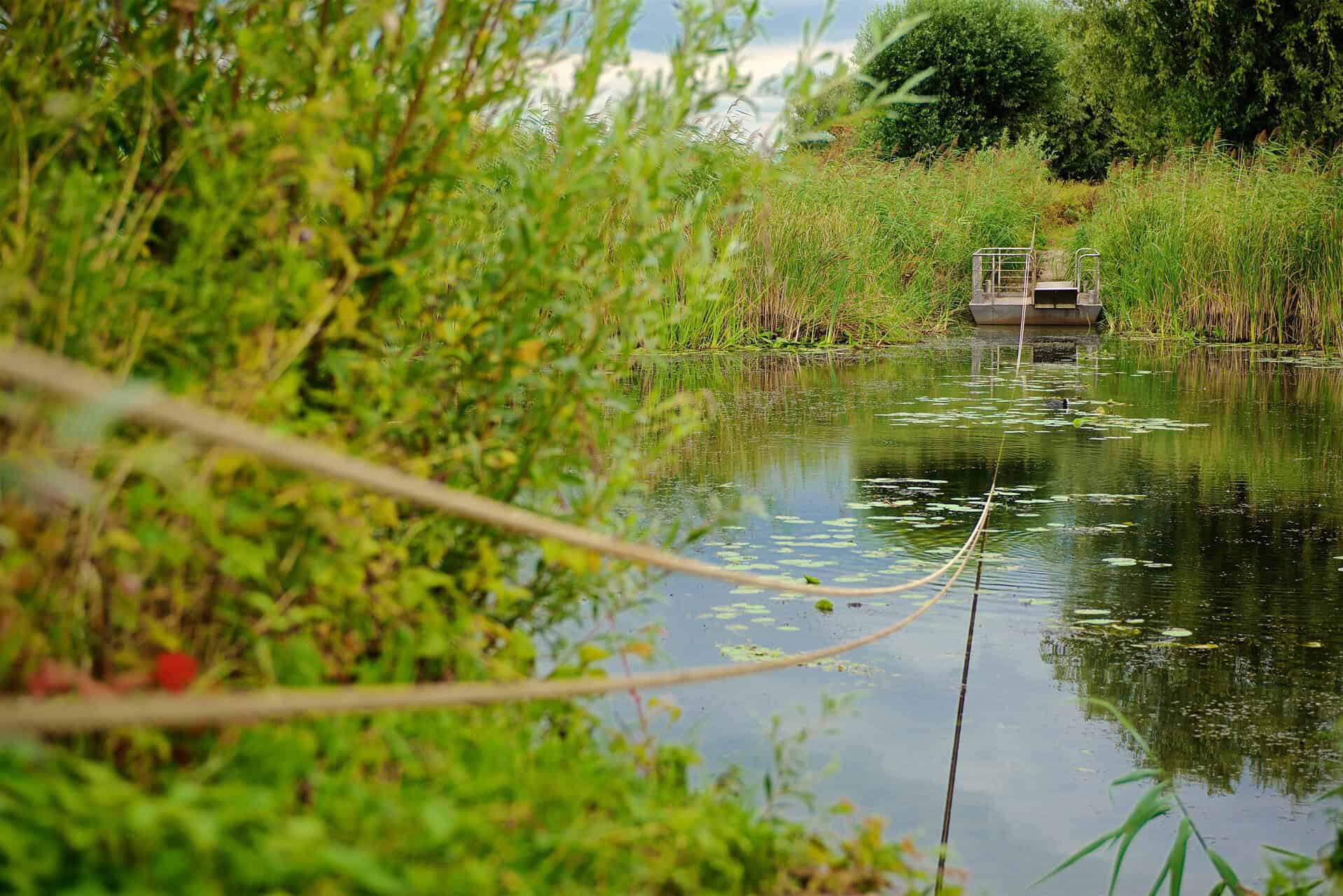Kleine boot aan de oever van de rivier bij 't Gelders Eiland.