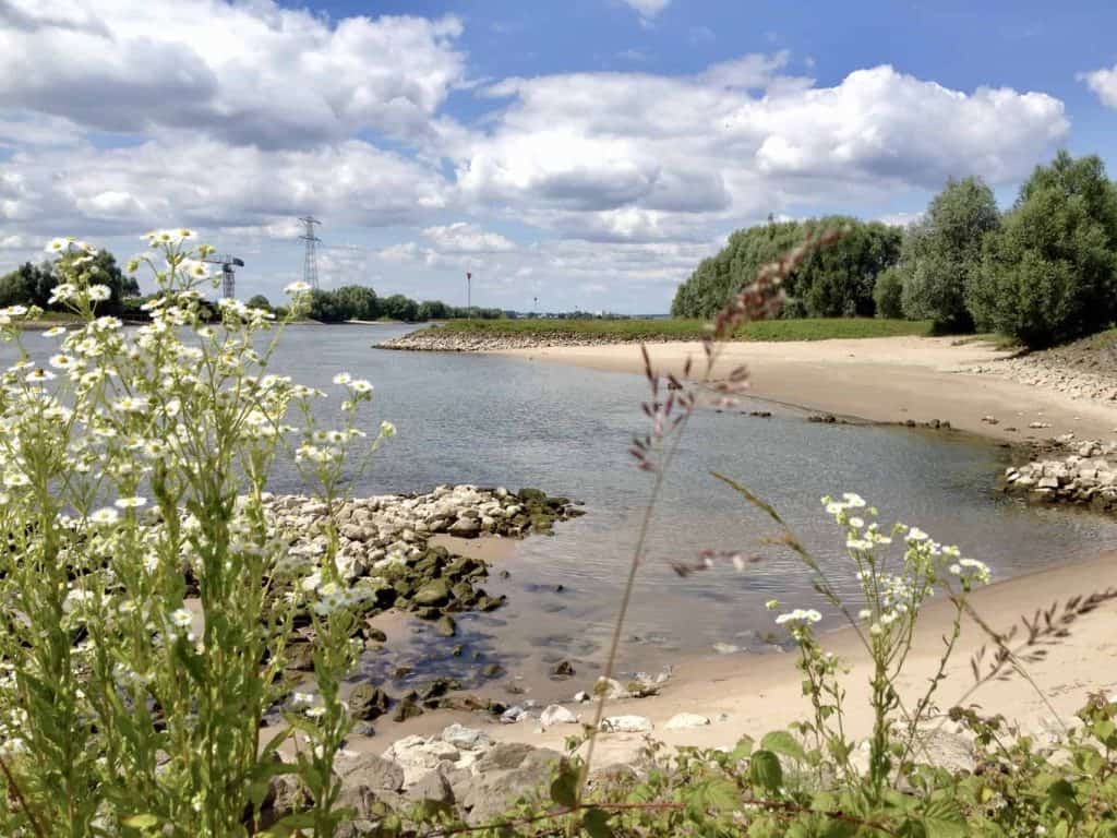 Uitzicht op rivier met zandstrand en groene bomen.