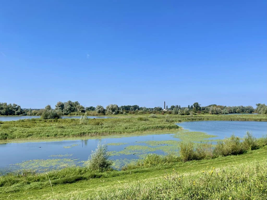 Natuurscène met water, gras en bomen op 't Gelders Eiland.