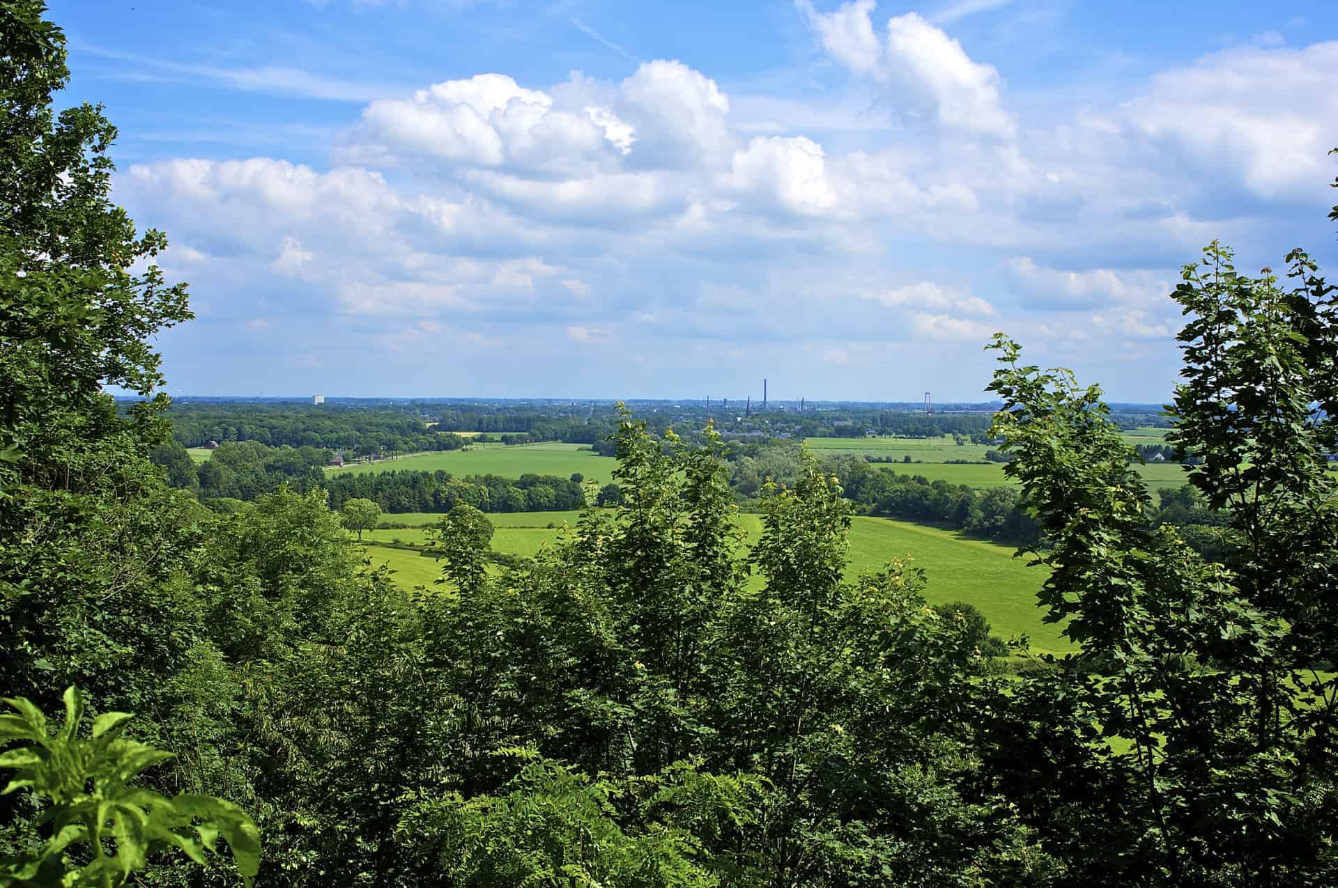 Panoramisch uitzicht over groene velden en bomen in Gelderse Poort.