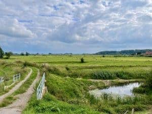 Uitgestrekte groene velden en waterpartijen op 't Gelders Eiland.