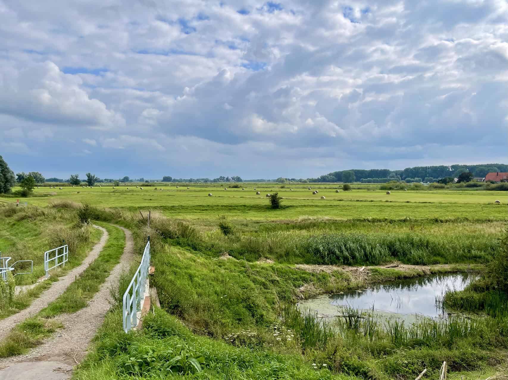 Uitgestrekte groene velden en waterpartijen op 't Gelders Eiland.