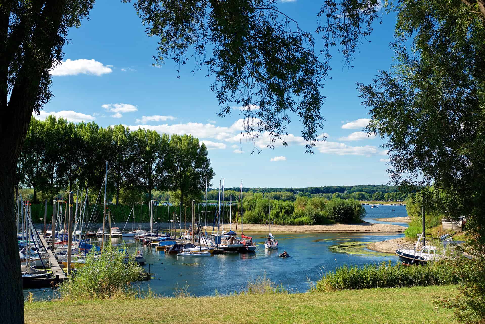 Sailboats en boten in de rivier op 't Gelders Eiland onder een blauwe hemel.