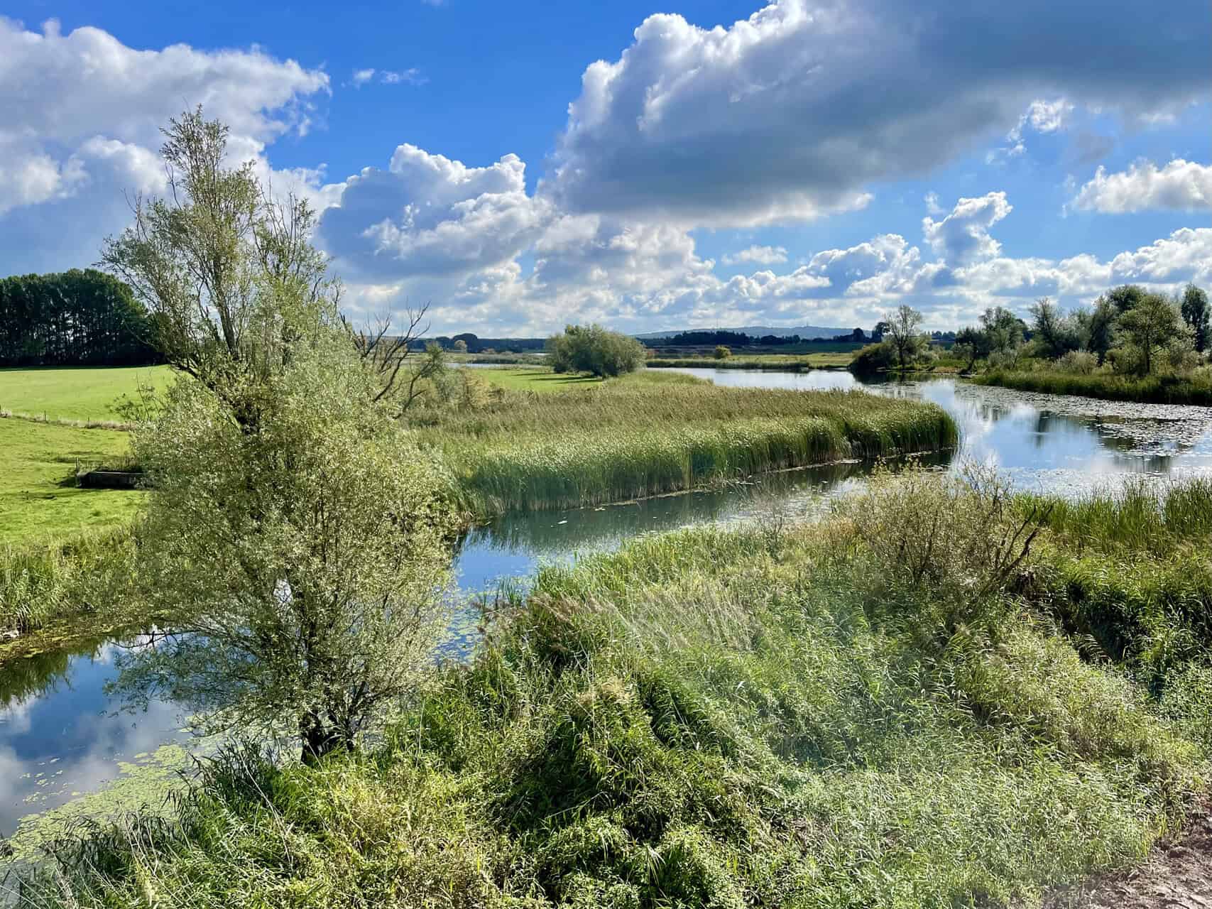 Uitzicht op rivier en groene velden op 't Gelders Eiland.