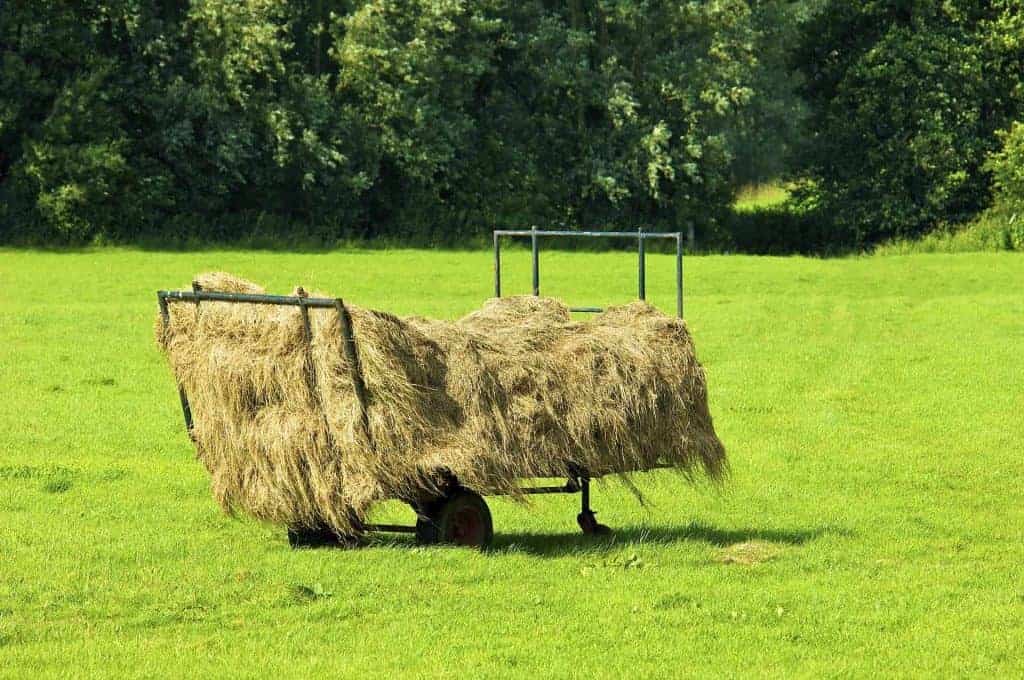 Hooiwagen met hooi op een grasveld in de natuur.