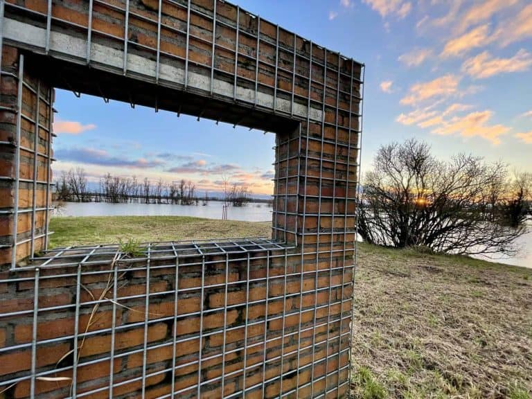 Uitzicht op de rivier met bomen en een ondergaande zon.