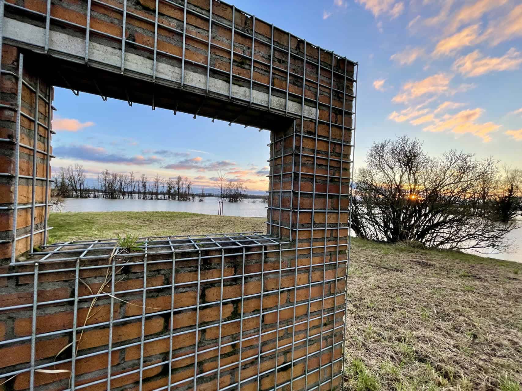 Uitzicht op de rivier met bomen en een ondergaande zon.