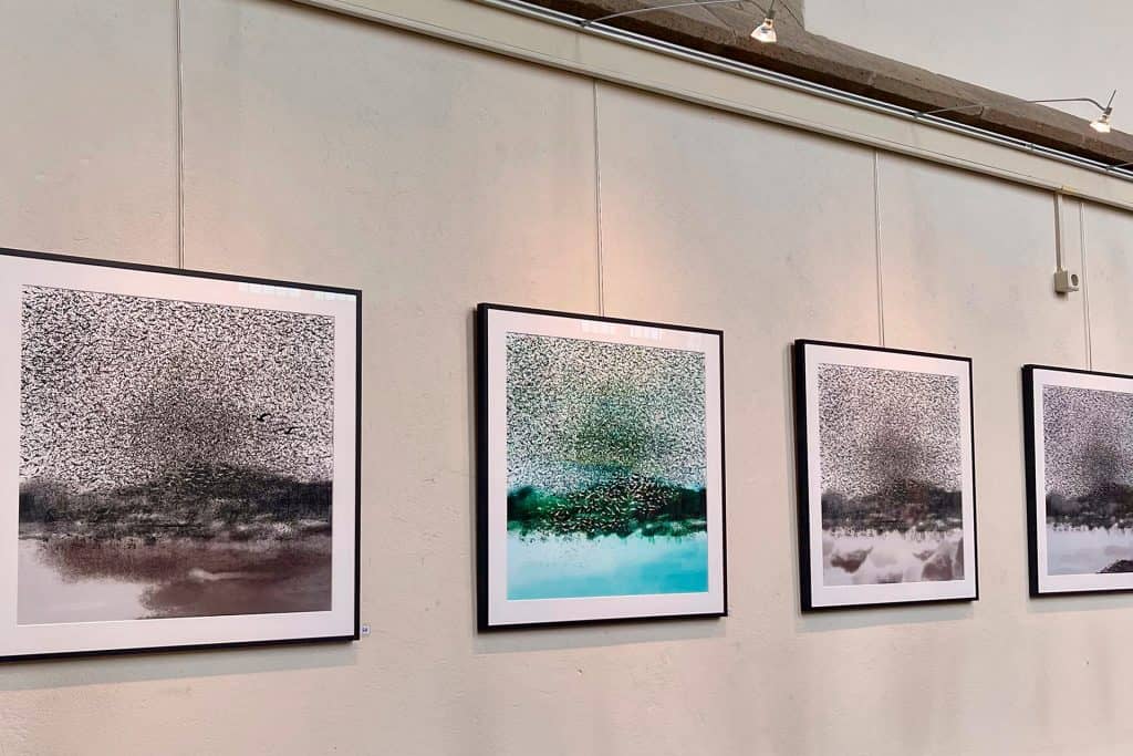 Abstracte kunstwerken tentoongesteld op 't Gelders Eiland, moderne kunst en schilderijen.