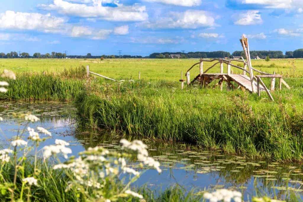 Rustieke houten brug over een waterpartij op 't Gelders Eiland.