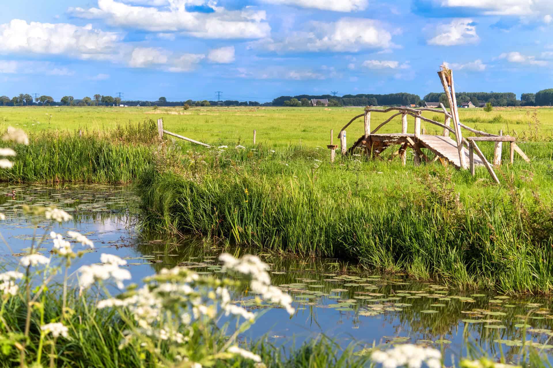 Rustieke houten brug over een waterpartij op 't Gelders Eiland.