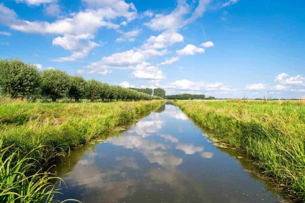 Uitzicht op een smal waterkanaal met groene rietoevers onder een blauwe hemel.