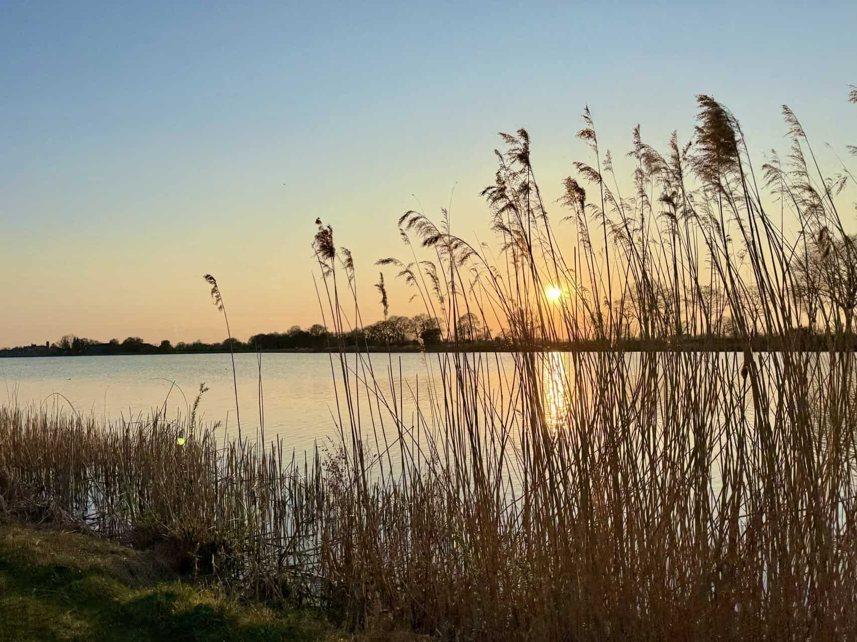 Zonsondergang boven water met riet en horizon op 't Gelders Eiland.