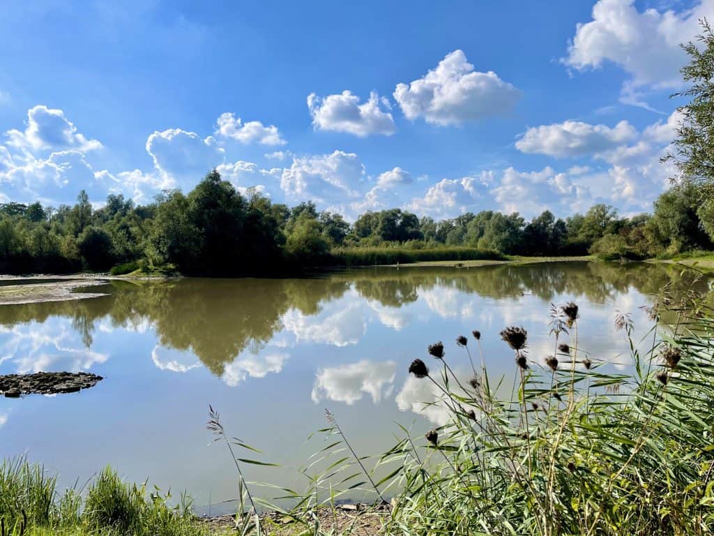 Rustige rivier met groene oevers en blauwe hemel.