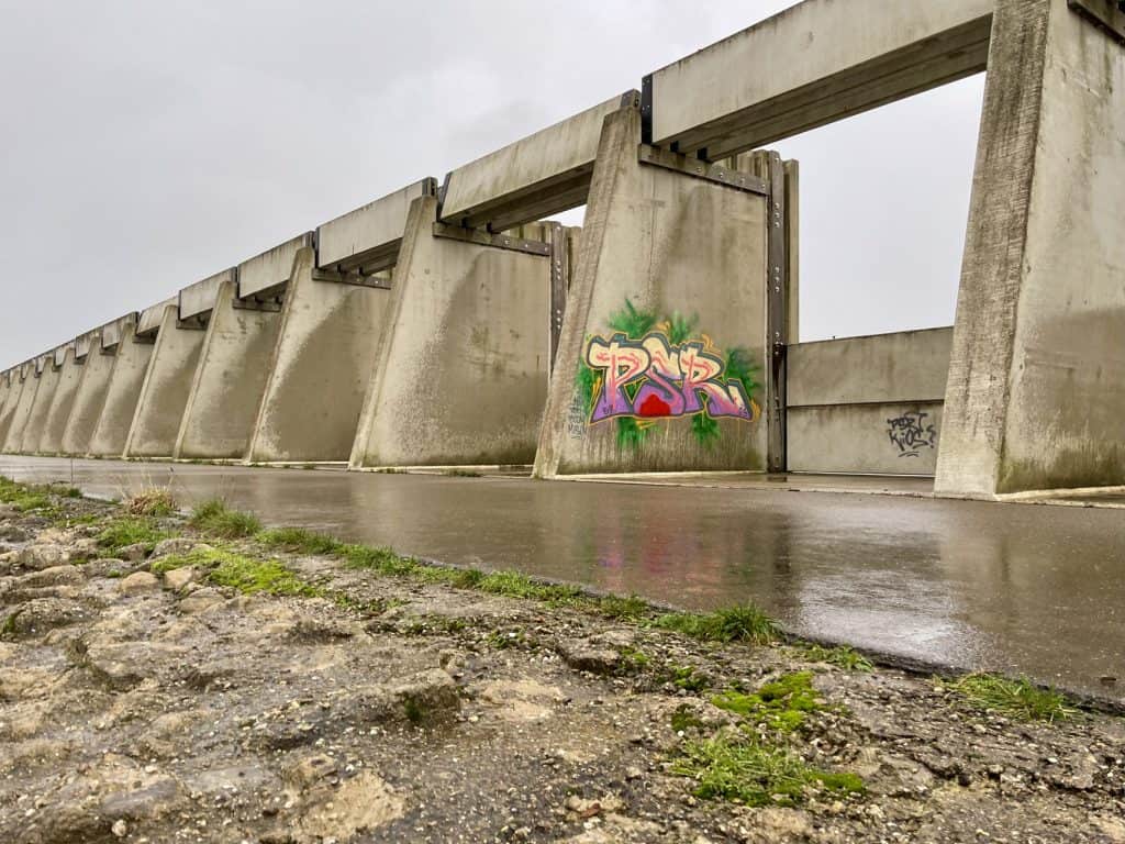 Graffiti op betonbrug met water en gras op de voorgrond.