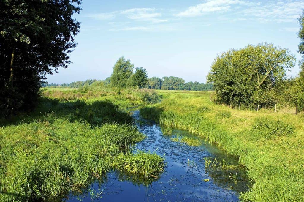 Rustige rivier omgeven door groene weiden en bomen in Gelderse Poort.
