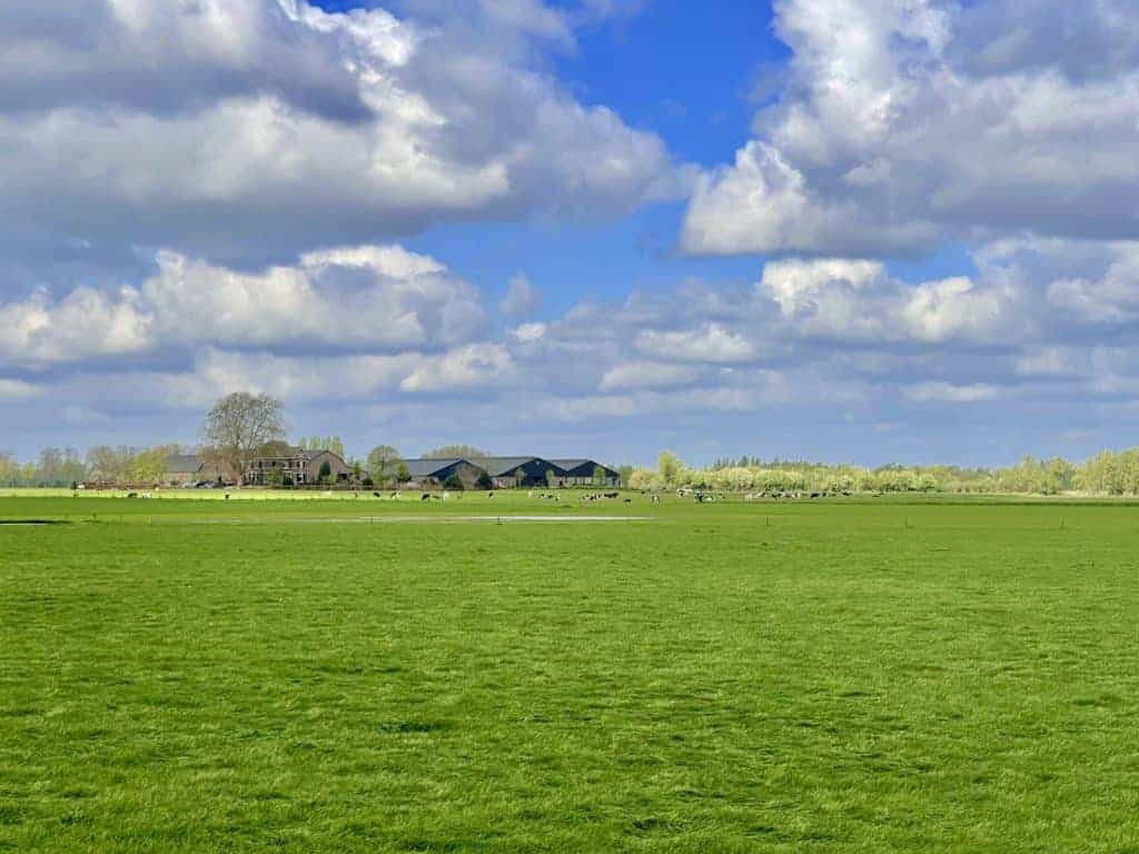 Uitgestrekt groen veld onder een blauwe hemel met wolken.