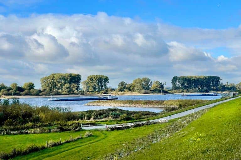 Uitzicht op het Gelders Eiland met rivier, groene oevers en een heldere hemel.