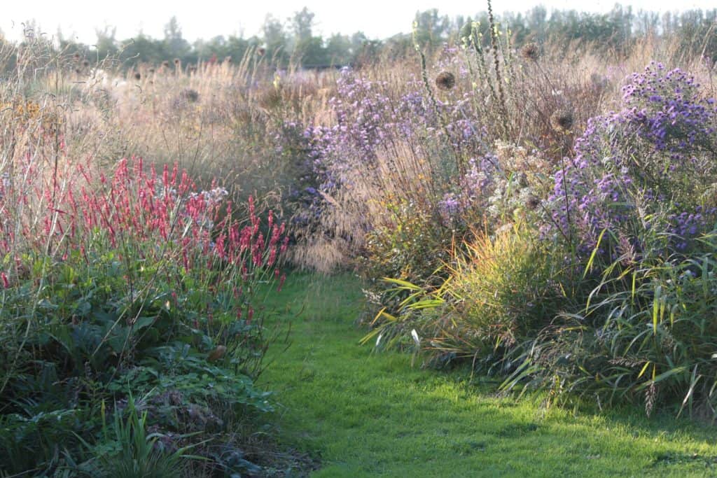 Landschap op 't Gelders Eiland met kleurrijke bloemen en groene paden.