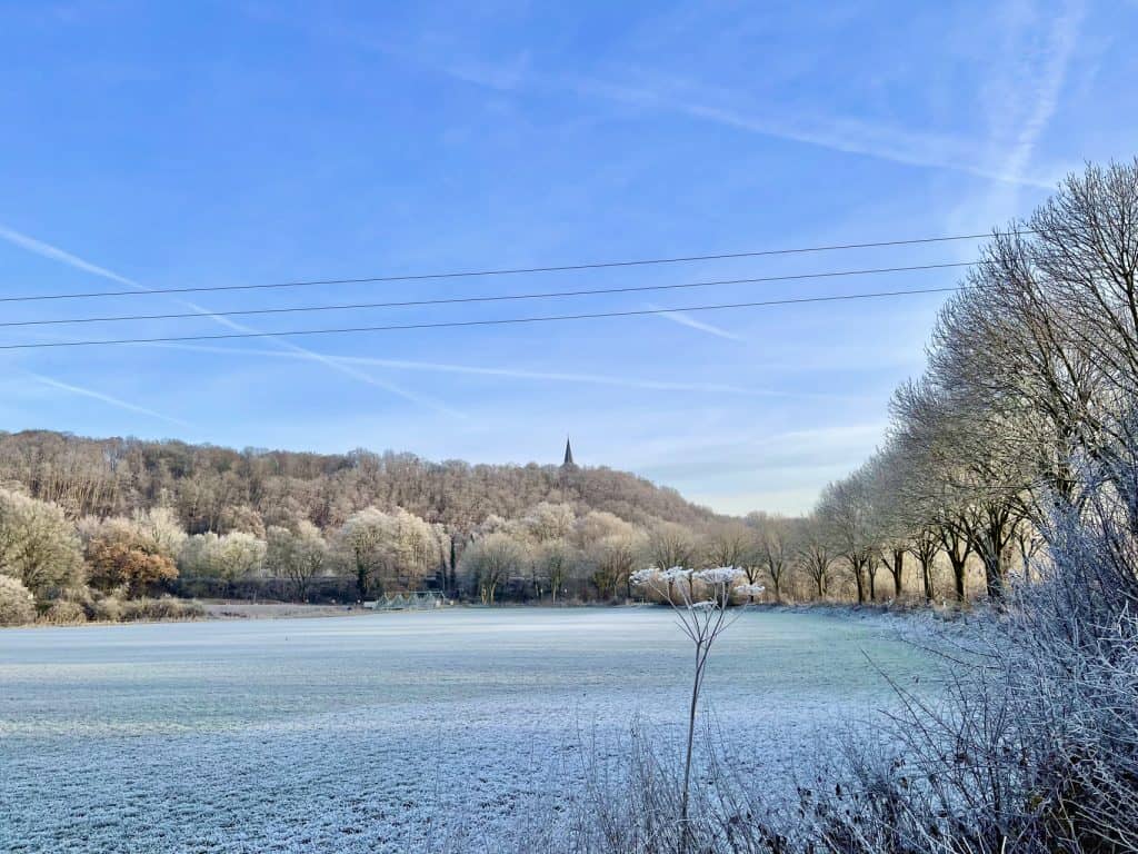 Winterlandschap met bevroren water en bomen langs de oever.