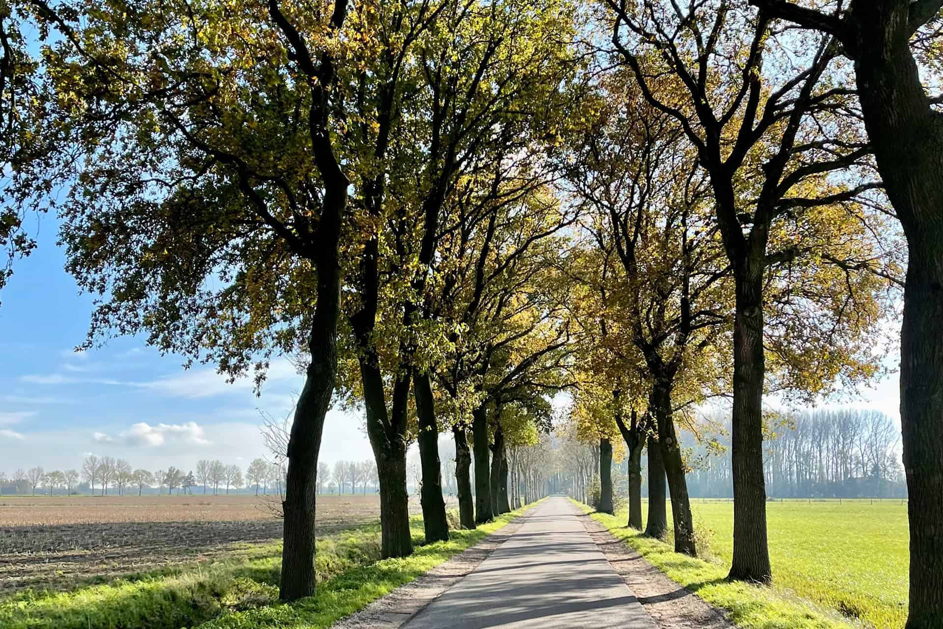 Boomgaard langs het Klompenpad Greffelkampsepad in Gelderland.