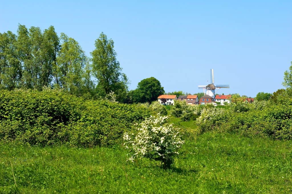 Uitzicht op 't Gelders Eiland met windmolen, groene velden en bloeiende bomen.