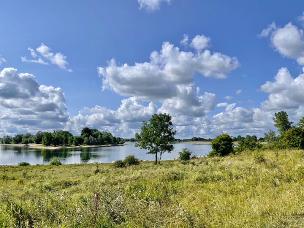 Uitzicht op rivier met bomen en groene weide onder een blauwe hemel.