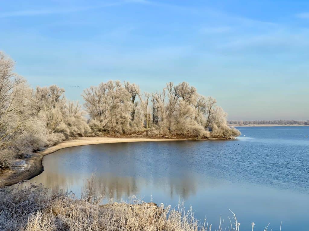 Bevroren rivier en bevroren bomen op 't Gelders Eiland in winter.