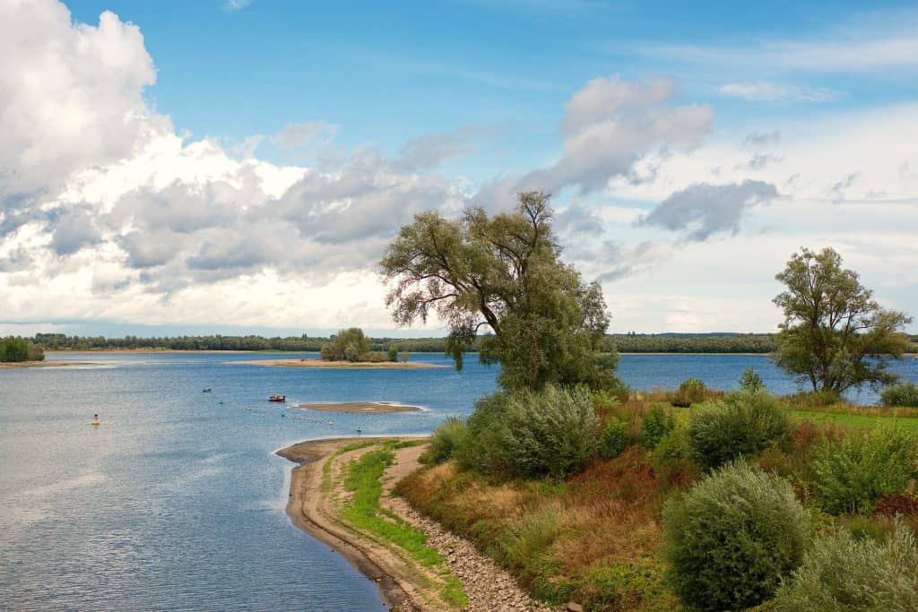 Natuurrijke omgeving bij de Bijland met water, bomen en wandelpad.