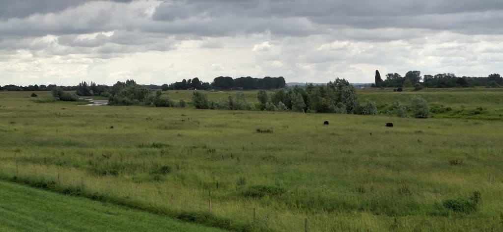 Uitgestrekt groen landschap met wolkenlucht op 't Gelders Eiland.