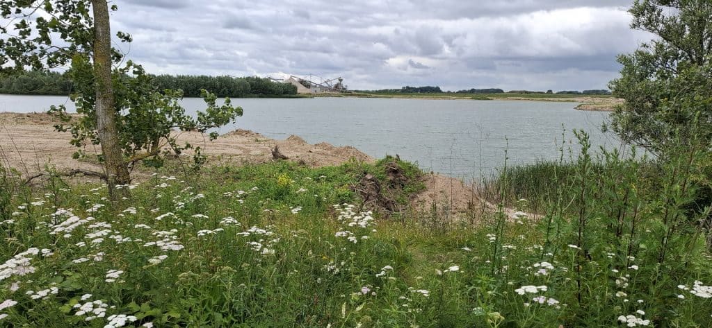 Uitzicht op het water met groene planten en bomen op 't Gelders Eiland.