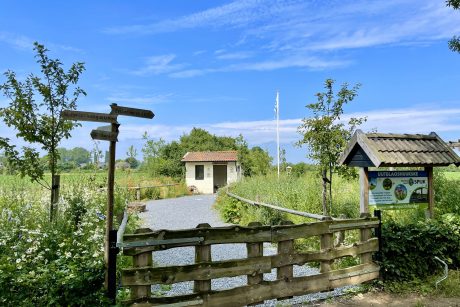 Natuurlijke omgeving op 't Gelders Eiland met kleine huisjes en wandelpaden.