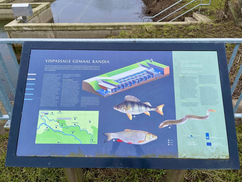 Informatiebord over vispassage op 't Gelders Eiland met diagrammen en visillustraties.