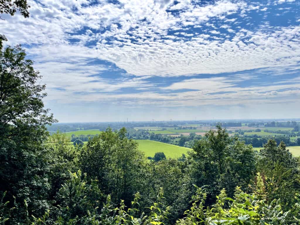 Uitzicht over 't Gelders Eiland met groene velden en een blauwe hemel.