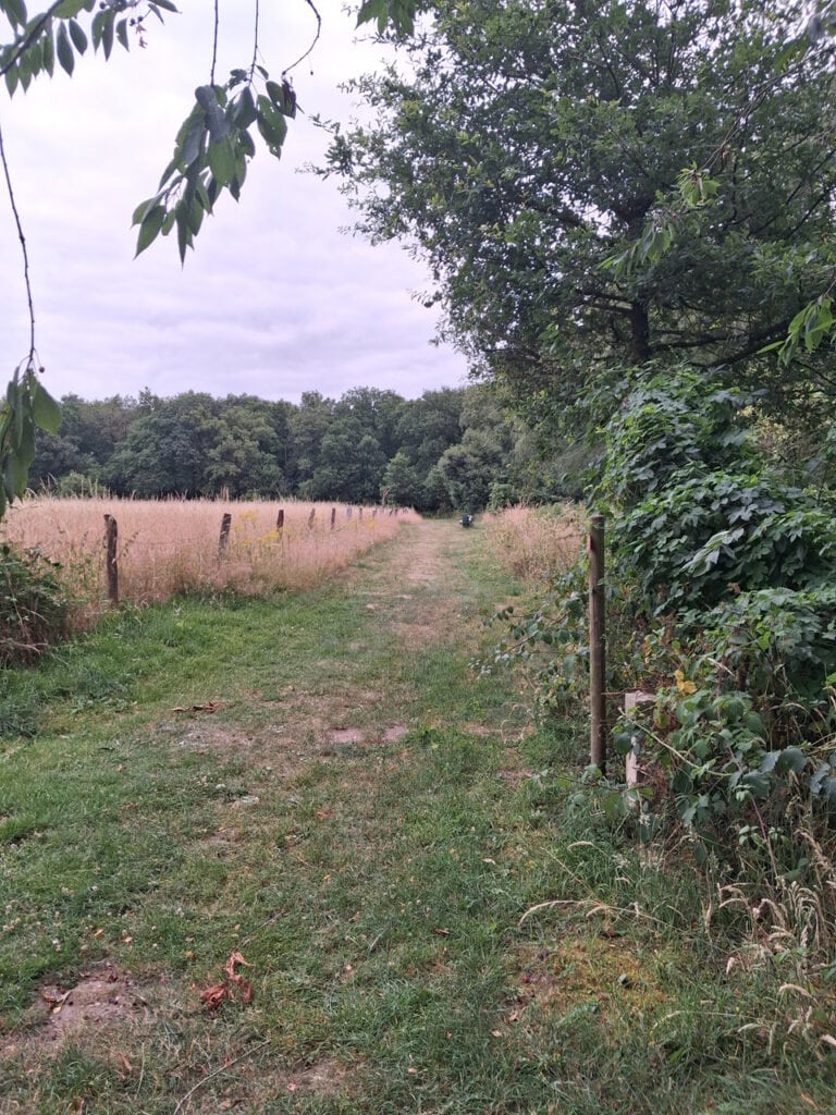 Natuurlijke wandelroute op 't Gelders Eiland met groene bomen en grasvelden.