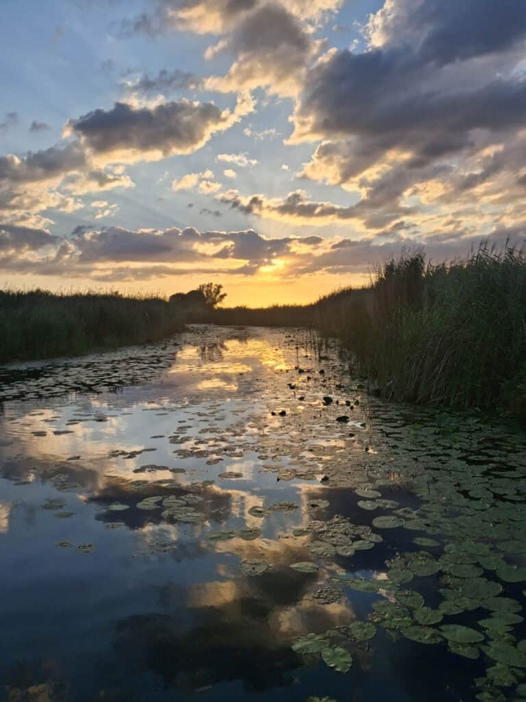 Zonsondergang boven een waterweg met waterlelies en riet.