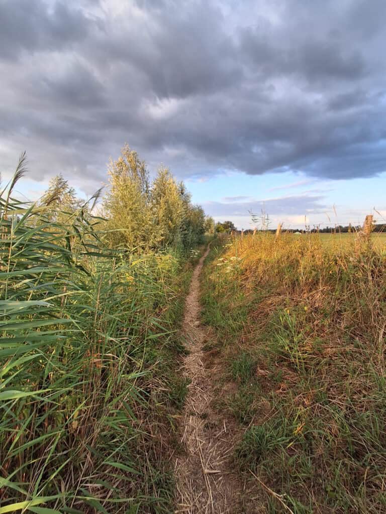 Natuurpad op 't Gelders Eiland onder dreigende wolken.