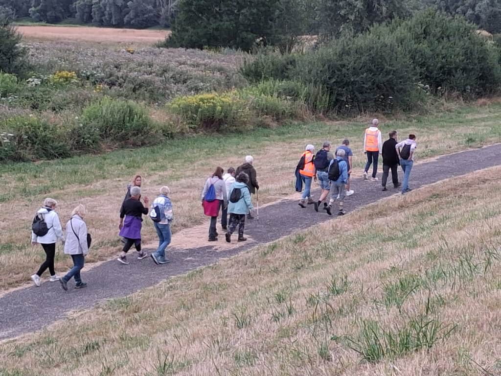 Groep wandelaars tijdens zwoele zomeravond op 't Gelders Eiland.