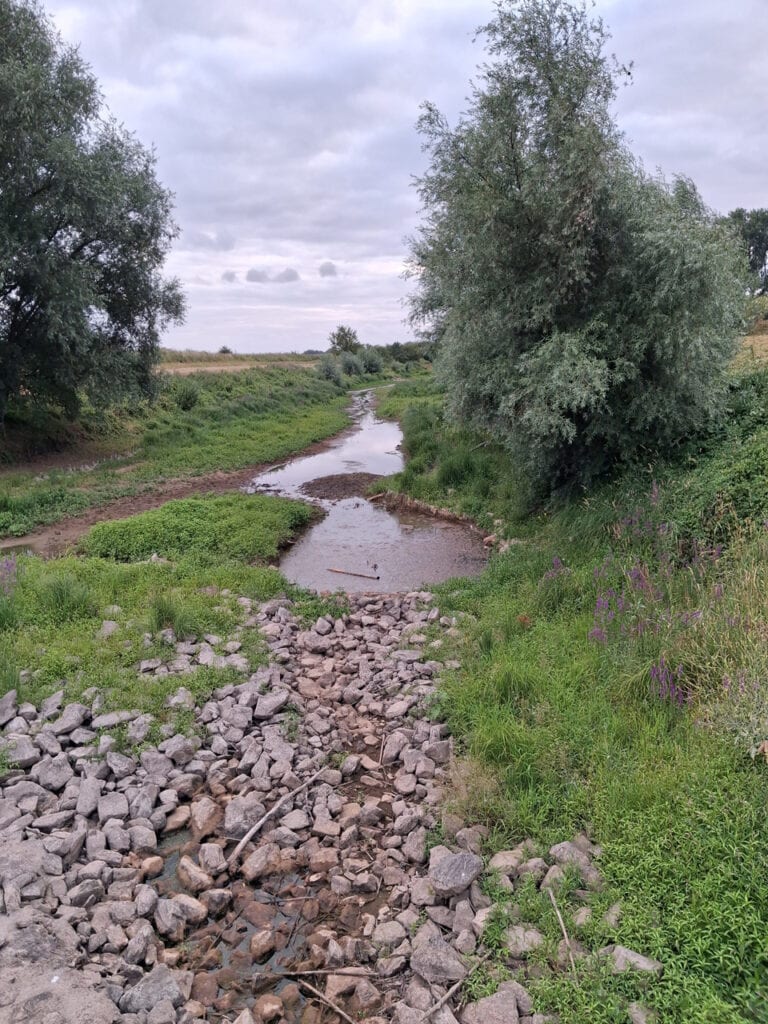 Rustige rivier op 't Gelders Eiland met groene oevers en bomen.